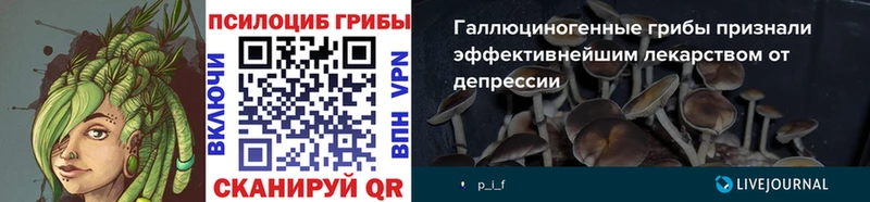 Галлюциногенные грибы MAGIC MUSHROOMS  Спасск-Дальний 